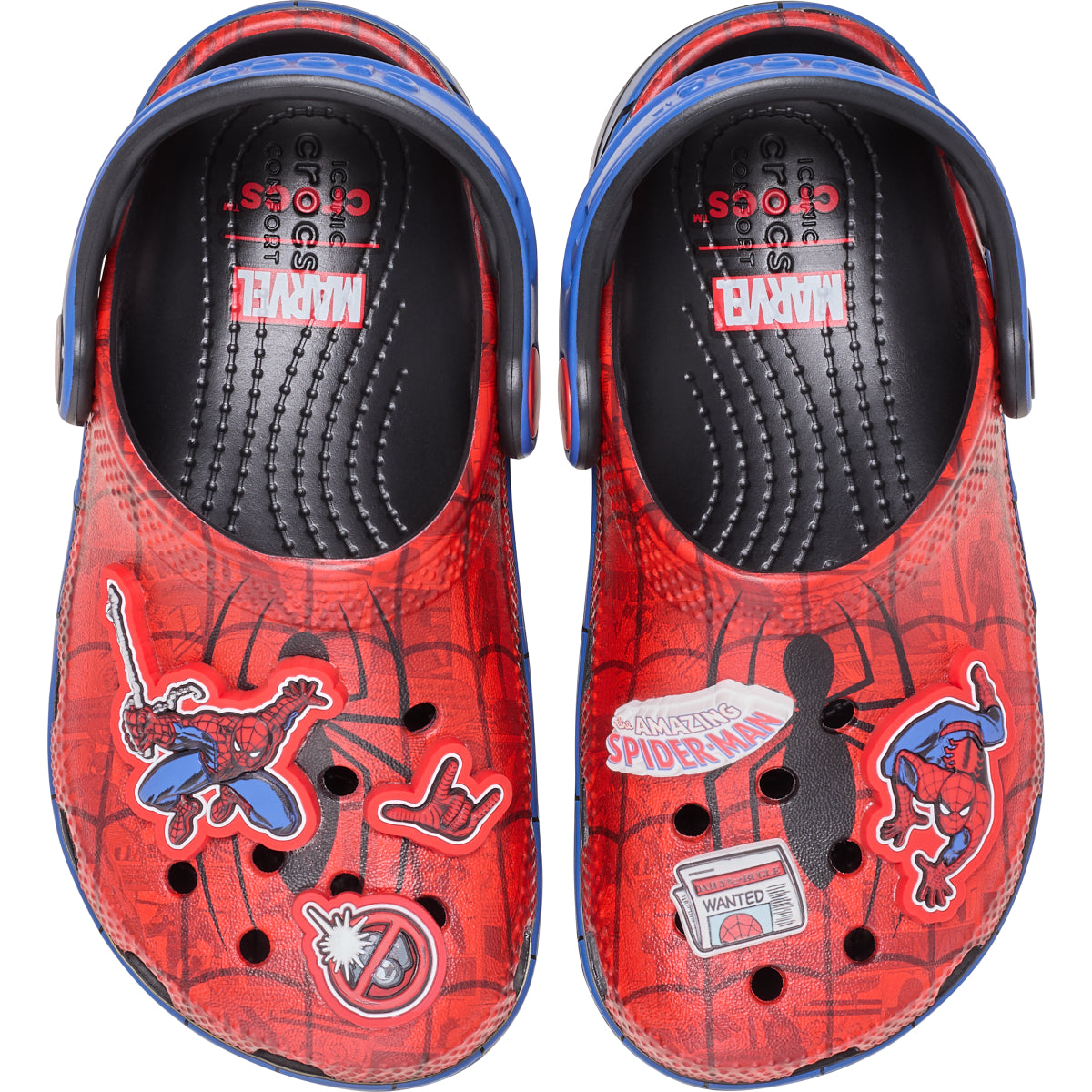 SpiderWeb Classic Clg T - Çok Renkli