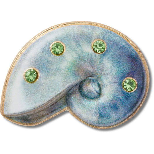 Light Swirl Shell - STANDART